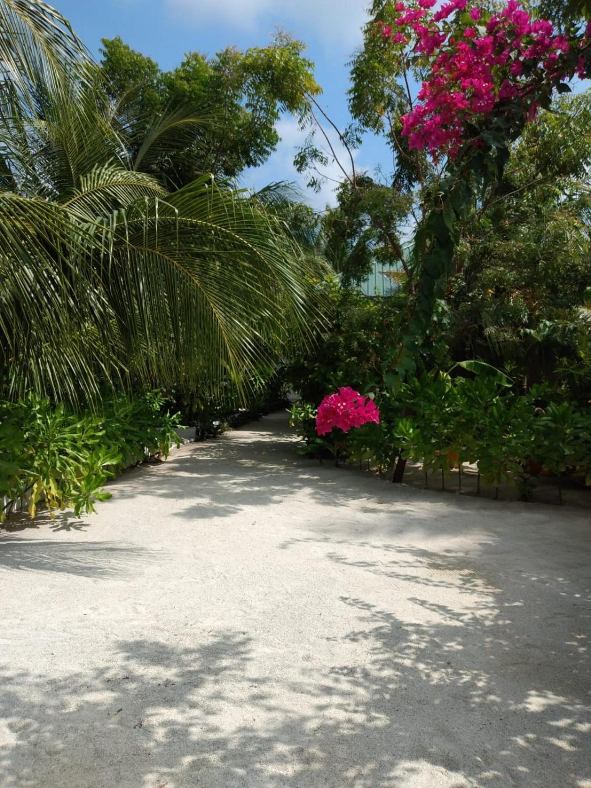 Sunrise Inn Thoddoo Exterior foto